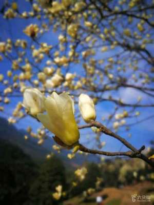 印光大师龙舒净土文序